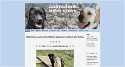Desktop Screenshot of blackandyellow.ch